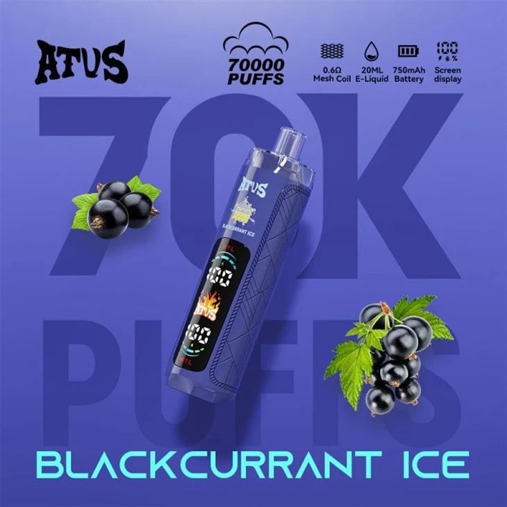 ATVS 70000 PUFFS best