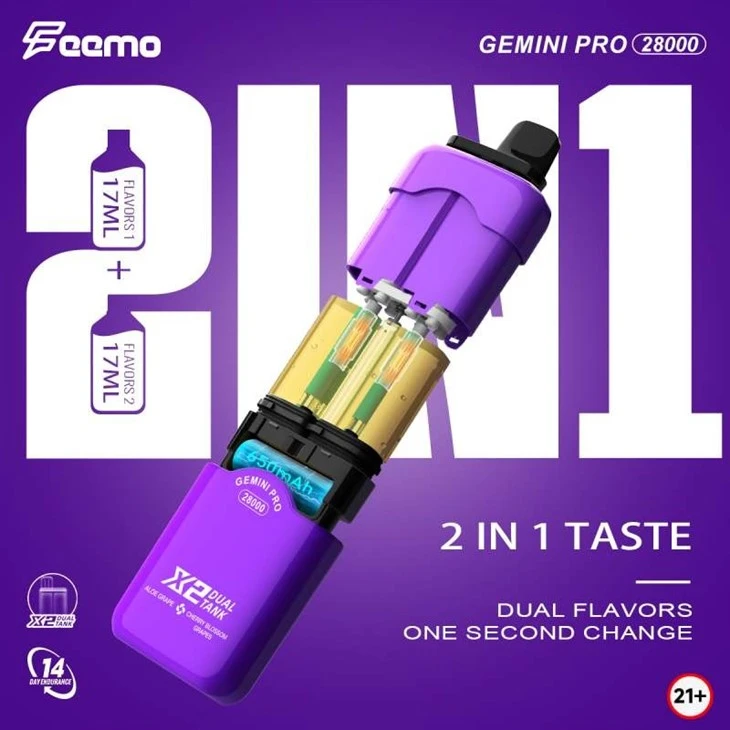 Feemo GEMINI PRO 28000 3