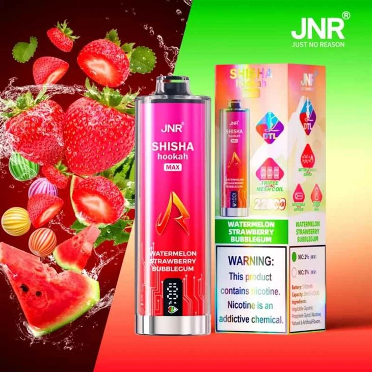 Jnr Shisha HundAa Max 22000 DTL