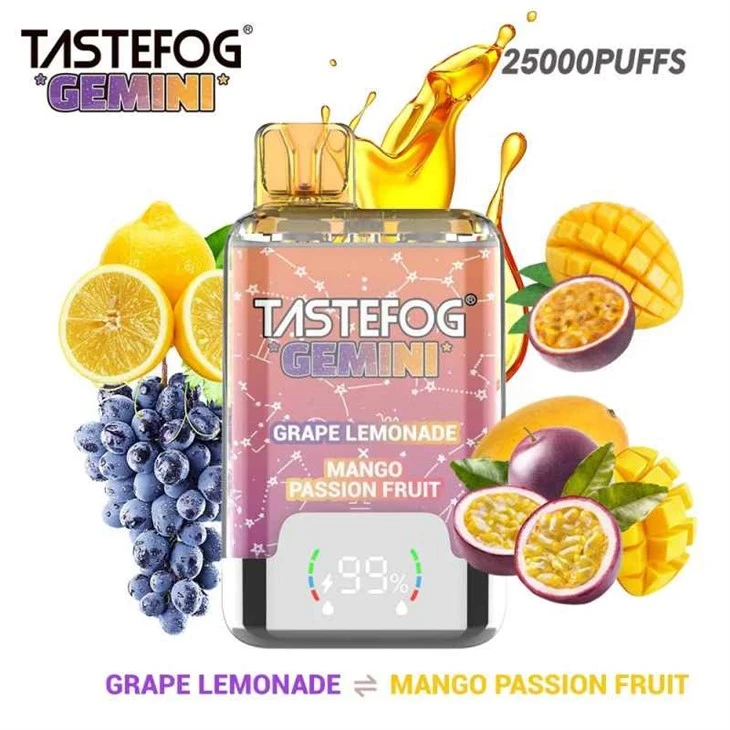 TASTEFOG GEMINI 25000