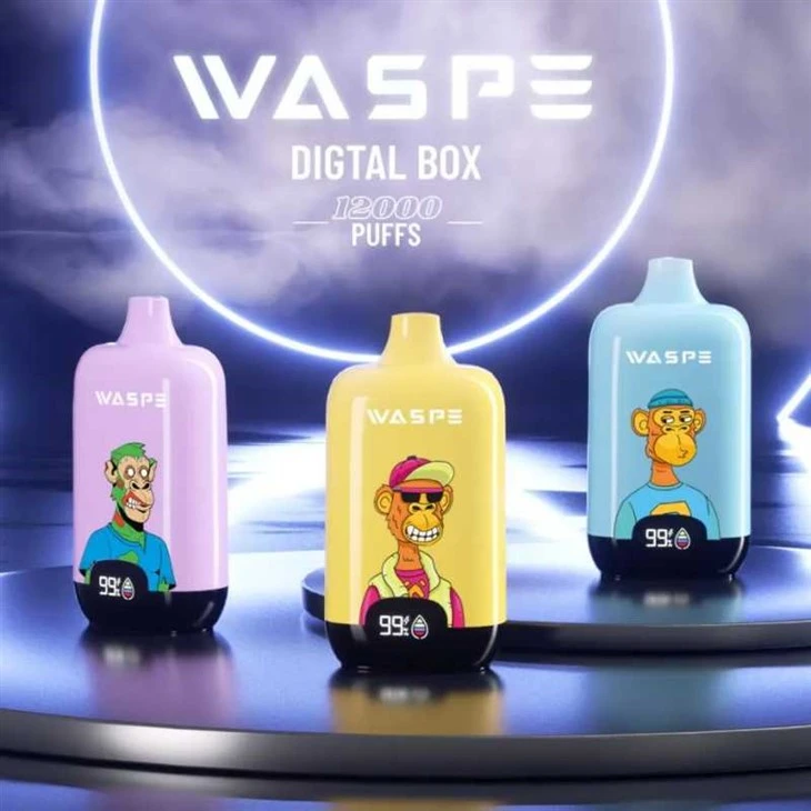 Digitálny box WASPE 12000